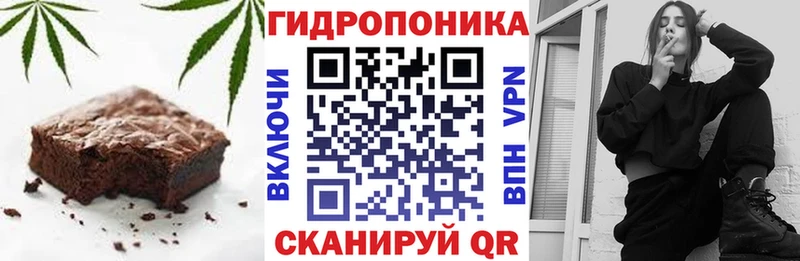 Еда ТГК конопля MEGA рабочий сайт Нижнеудинск