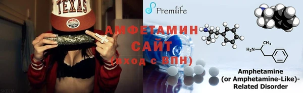 мет Алексин