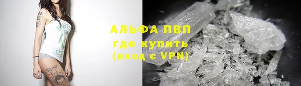 мет Алексин