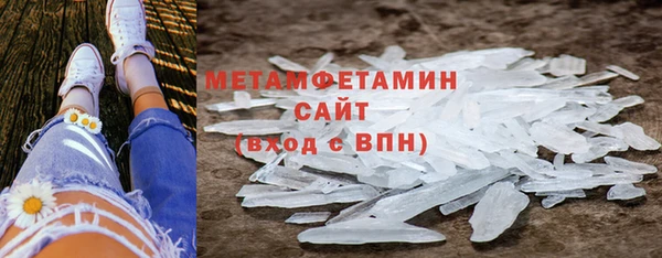 мет Алексин