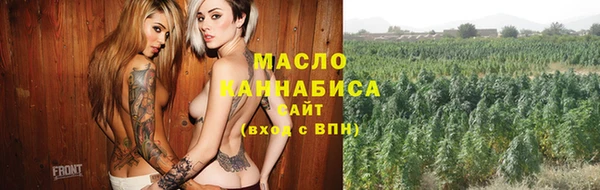 мет Алексин